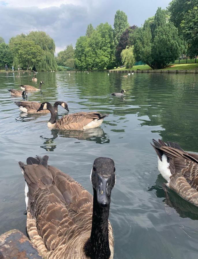 Beddington Park Lodge East Wallington Eksteriør billede
