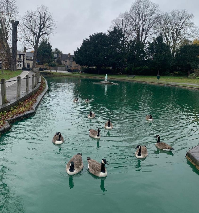 Beddington Park Lodge East Wallington Eksteriør billede